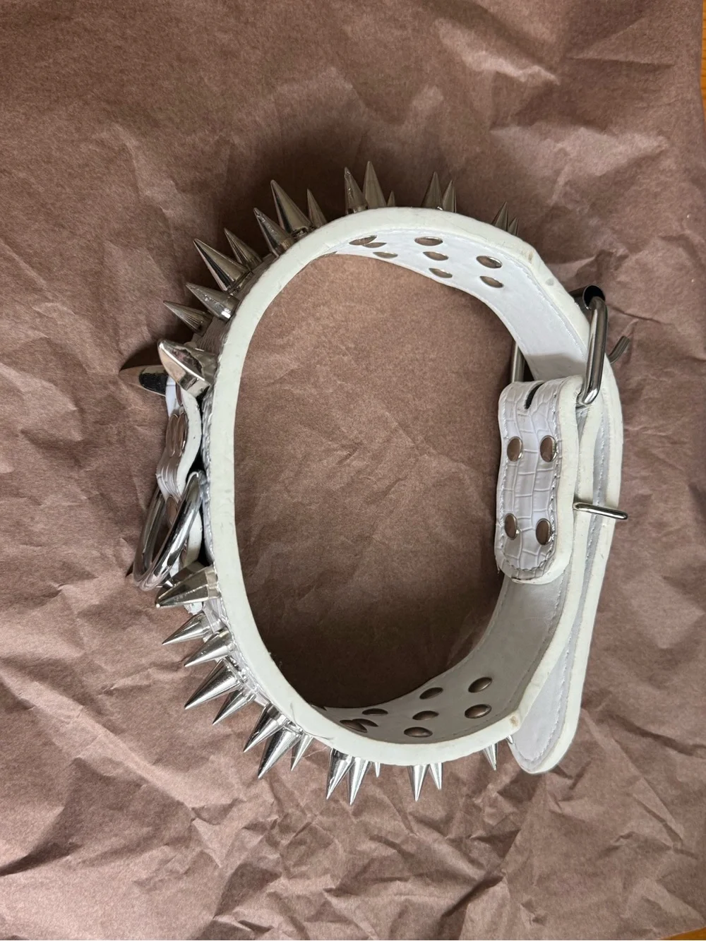 White Spiked Dog Collar | Medium 17–20”